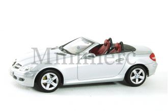 SLK Scale Model
