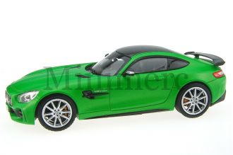 Mercedes AMG GT R Scale Model