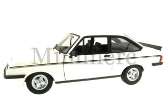 Ford Escort 2 RS2000 Scale Model
