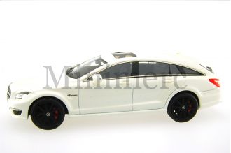Mercedes CLS 63 AMG Shooting Break Scale Model