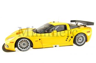 Chevrolet Corvette C6R Scale Model