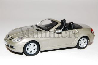 SLK Scale Model