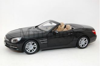 SL Class Scale Model