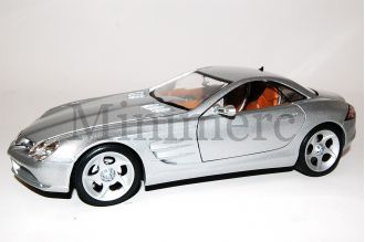 Vision SLR Scale Model