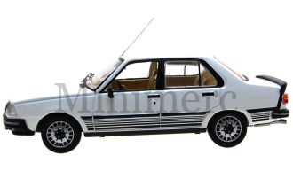 Renault 18 GTD Type 2 Scale Model