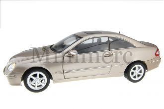 CLK CLASS COUPE Scale Model