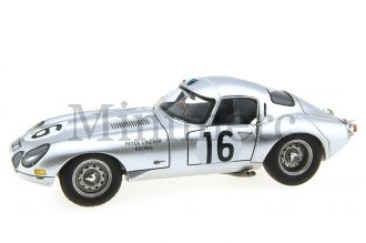 Jaguar E Lightweight Scale Model