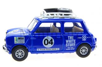 Mini Scale Model