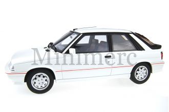 Renault 11 Turbo Scale Model