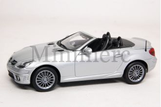 SLK 55 AMG Scale Model